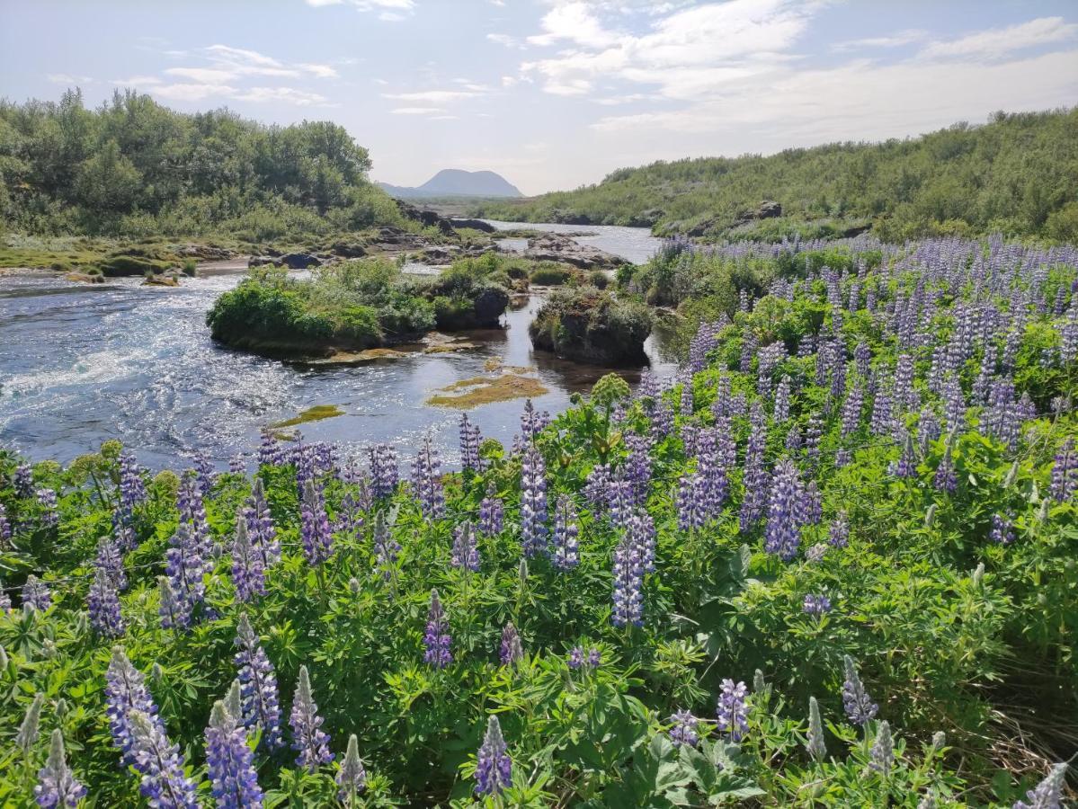 Rjupnavellir